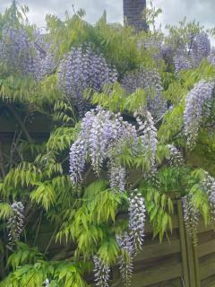 Ici c'est chouette - 7