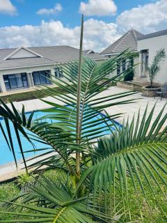 WeMvula Guesthouse - 0