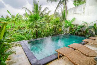 Ubud peacefull with Rice fields view 2 bedroom - 0