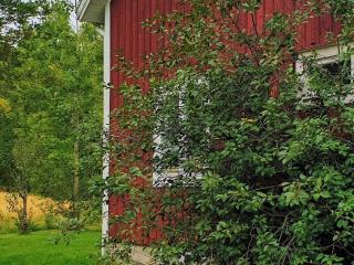 4 person holiday home in JÄRVSÖ-By Traum - 1