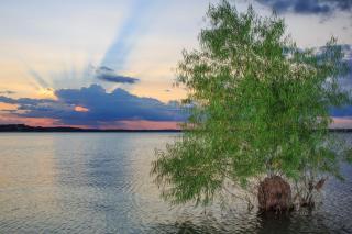 Century Oak House - Casita A - 4