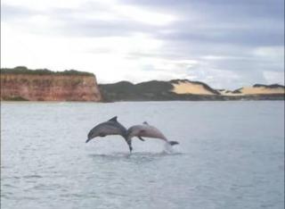 Condominio Brisas do Amor 12 - 2