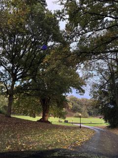 Scarborough Hill Country Inn - 8