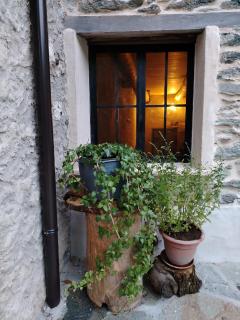 la stalla di mario - 5