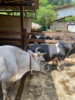 Águas da Serra Condomínio - 4