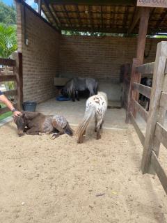 Águas da Serra Condomínio - 8