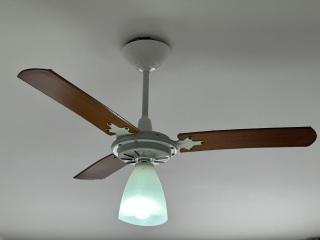 Vista mar a 700m da praia – Vila Tupi - 3