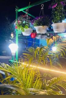 TG Homestay Kaziranga - 4