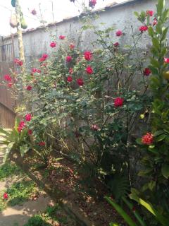 Chalé Tiny House com estacionamento - 6