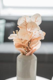 Charmante Hotelwohnung nahe Pforzheim, ruhige Lage - 2