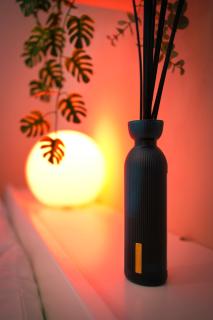 Suite romantique avec Spa - Le Mans - 3