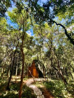 chalé borboletário - 5