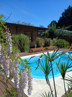 Cabaña en la Colina - 8