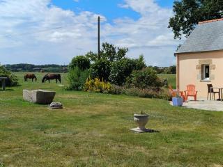 Plain-pied En Rez-de-jardin - 8