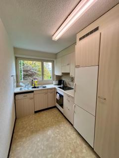 3 Bedroom Apartment with Balcony, 26 min to Zurich Center - 8