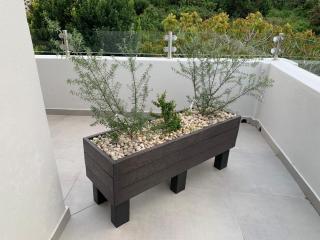 Bella Madre Guesthouse - 2