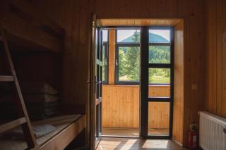 Bilyi Slon Gadzhyna - 7