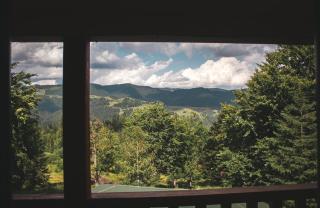 Bilyi Slon Gadzhyna - 6