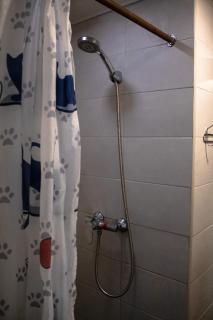 Bilyi Slon Gadzhyna - 4