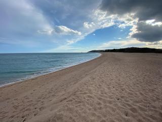Villa Tarco, South Corsica, Sea View & Garden - 9