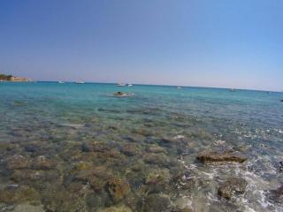 Villa Tarco, South Corsica, Sea View & Garden - 8