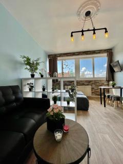 HYPER CENTRE - STUDIO n2 - 2min PLACE KLEBER - 0