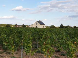 La Petite Loge des Vignes Private Jacuzzi - 4