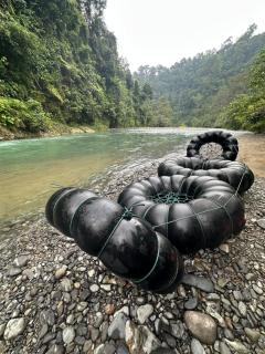 Orangutan Villa & Eco-Friendly Jungle Trekking - 7