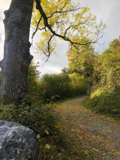 Slow Refuge - 8