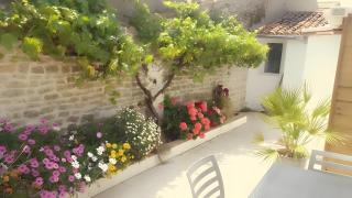 La venelle des Ormeaux - 2