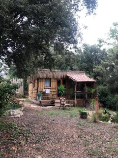 Cabane bambou - 7