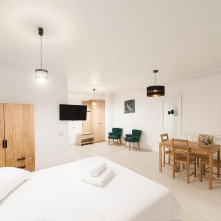 Entire Studio near Unirii City Center, Sector 5 - 827 - 2