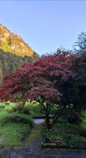 Lovely Home In Sauda With Wifi - 3