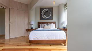 Apartamentos Ejecutivos, Lujo y Confort en el corazon de Polanco - 2
