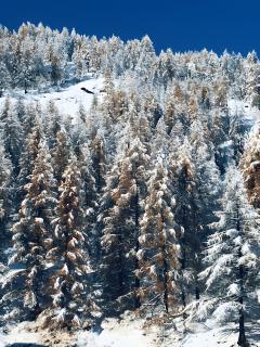 La Baita de la Foux D’allos - 2