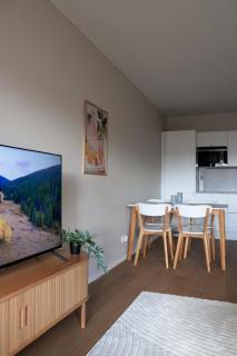 Freshly renovated 2-Bedroom apartment in city centrum - 1