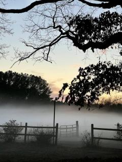 Sasquatch ranch double unit - 1