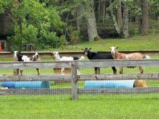 Sasquatch ranch double unit - 6