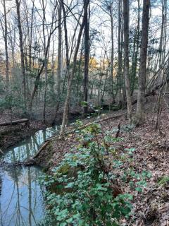 Unforgettable stay and experience - 3