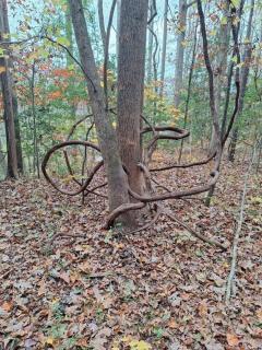 Unforgettable stay and experience - 2