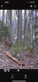 Unforgettable stay and experience - 1