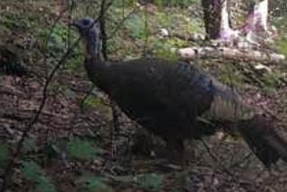 Unforgettable stay and experience - 4