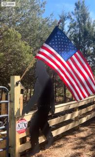 Unforgettable stay and experience - 7