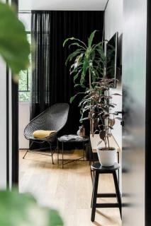 Puerta roja Increible ubicacion en condesa suite - Città del Messico - 4