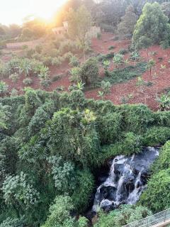 Kitisuru Zen Stay - 4