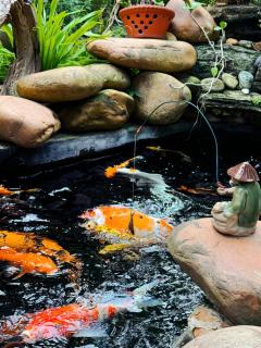 Moon Garden - Homestay Đường Lâm, Hà Nội - 8