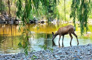 Serene Waterfront Escape with Pool, Hot Tub & Breathtaking Views - Pet Friendly - 5