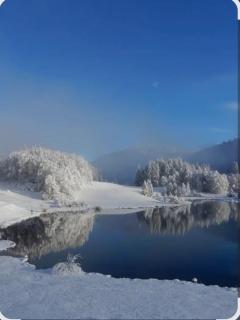 Appartement design et chaleureux en centre ville - 3