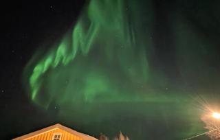 Lapland Snow Moose - 3