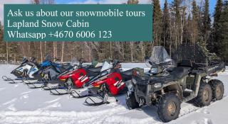 Lapland Snow Moose - 2